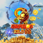 DragonGold88_INDOTIP