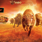 10 Pola Rahasia Maxwin di Buffalo Win Indotip