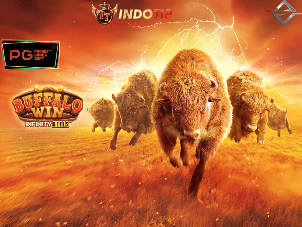 10 Pola Rahasia Maxwin di Buffalo Win Indotip