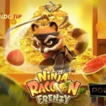 Sarang Maxwin Indotip Game NINJA RACCON FRENZY