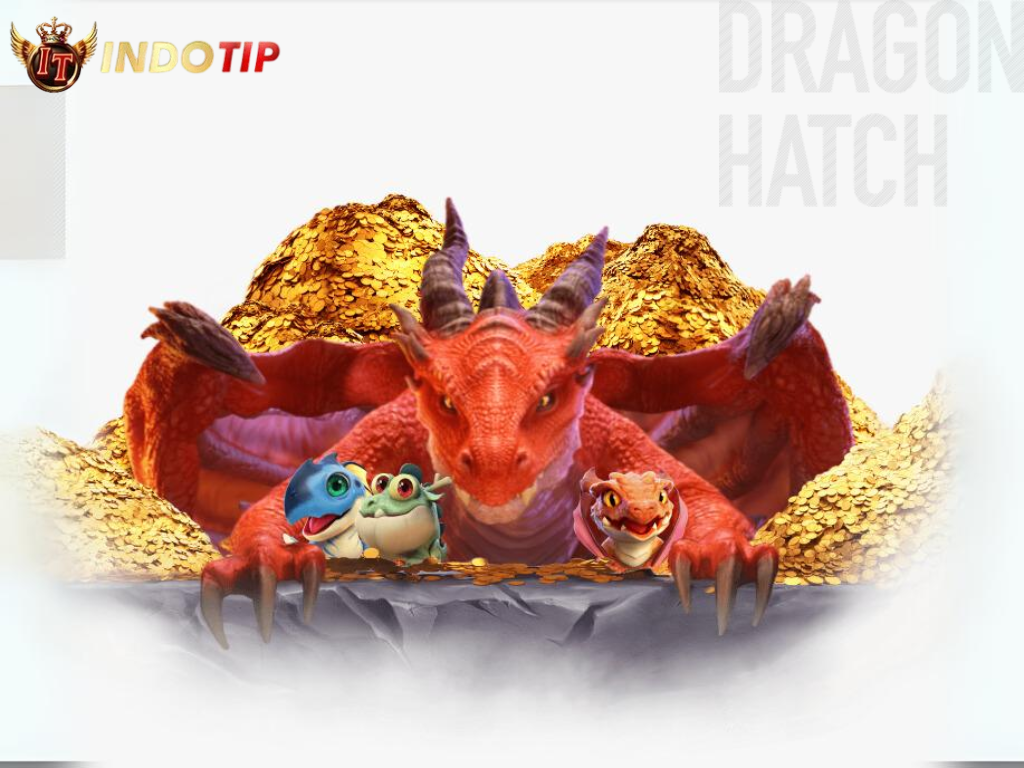 dragon-hatch-indotip