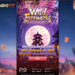 wild-fireworks-indotip