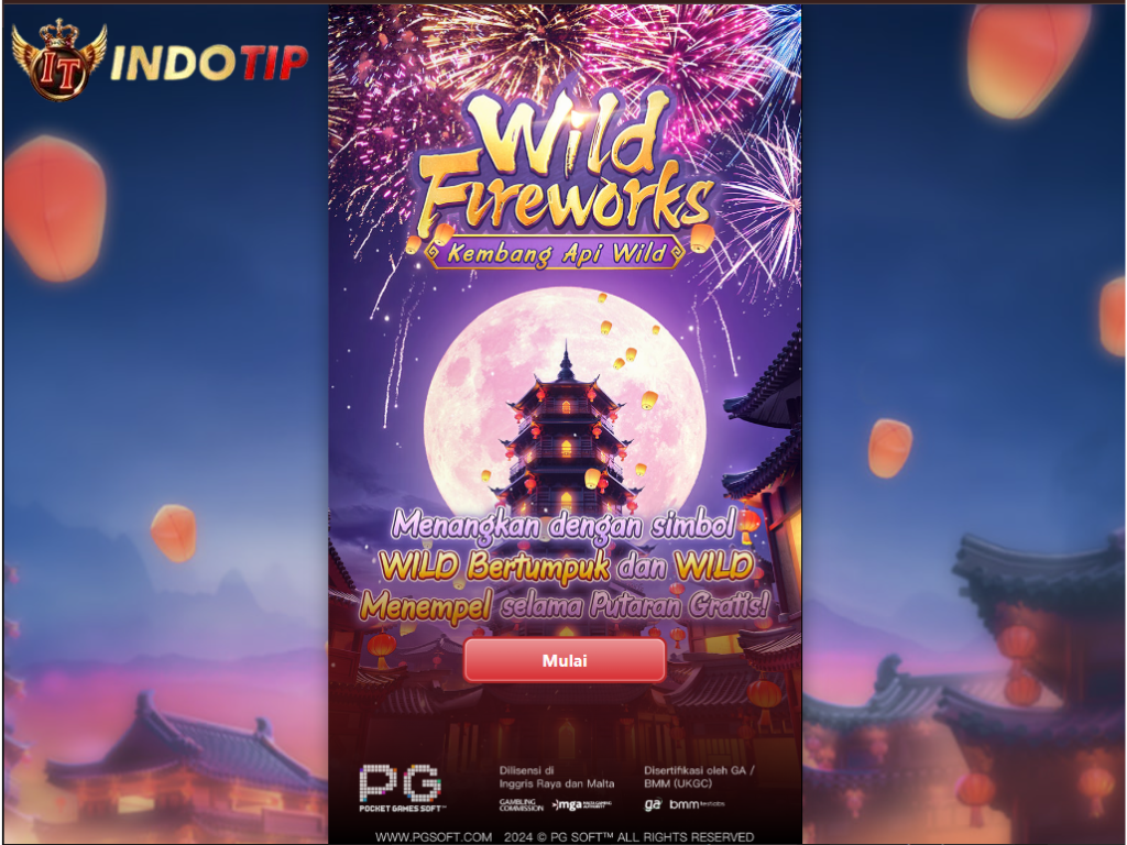 wild-fireworks-indotip